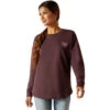 Ariat Womens Clove Brown Ariat Script Long Sleeve Tee