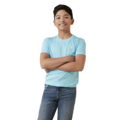 Ariat Boys Blue Atoll Charger Ariat Seal Short Sleeve T-Shirt